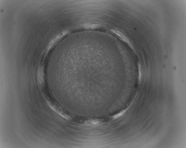 X0000080730492200612151228