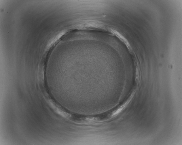 X0000080730493200612151228