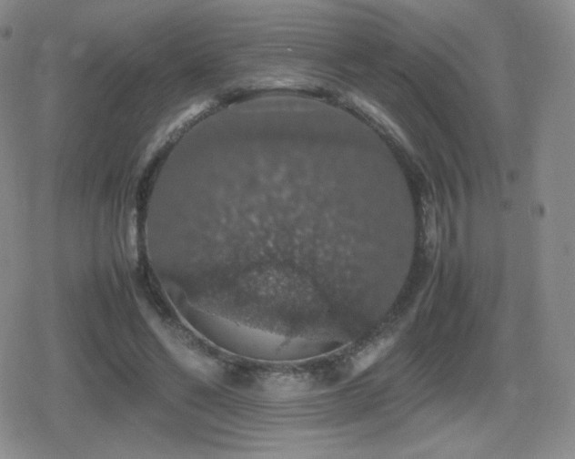 X0000080730494200612151228