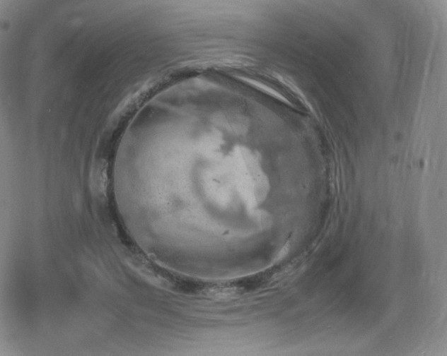 X0000080730495200612151228