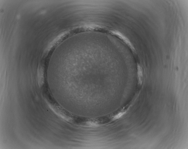 X0000080730496200612151228