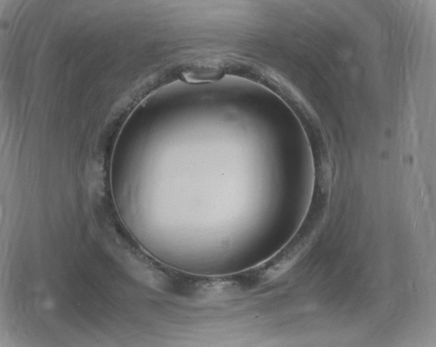 X0000080730497200612151228