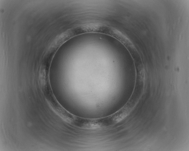 X0000080730498200612151228