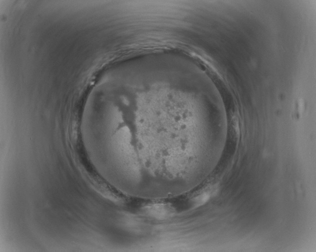 X0000080730499200612151228