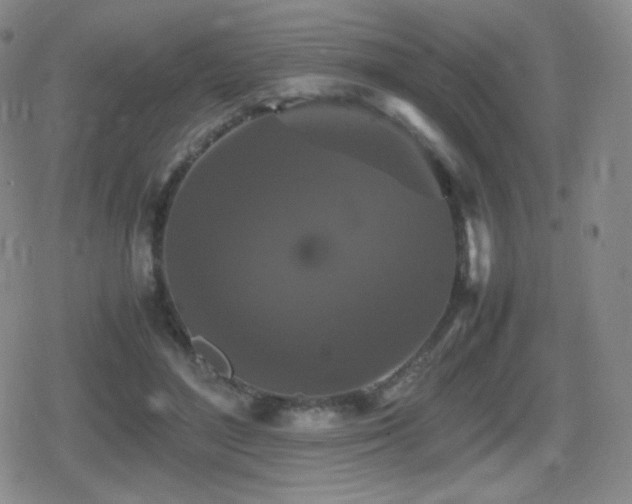 X0000080730500200612151228