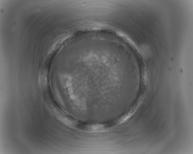 X0000080730501200612151228