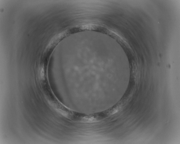 X0000080730502200612151228