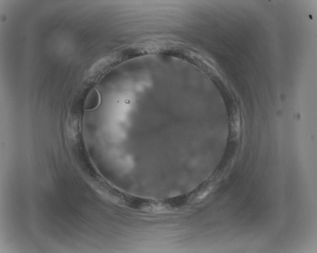 X0000080730503200612151228