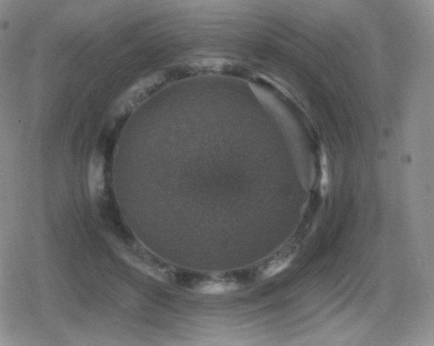 X0000080730504200612151228