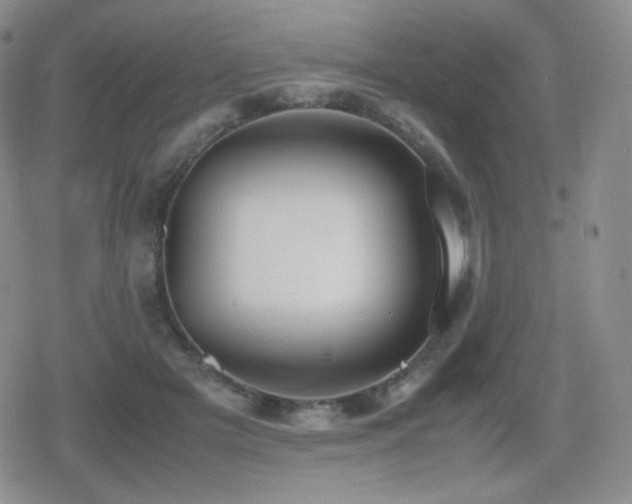 X0000080730505200612151228