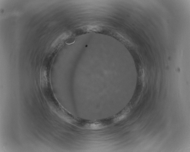 X0000080730506200612151227