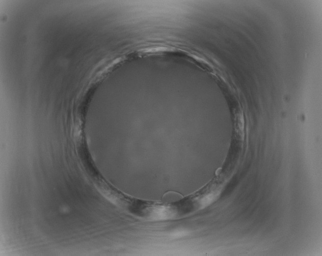 X0000080730507200612151227