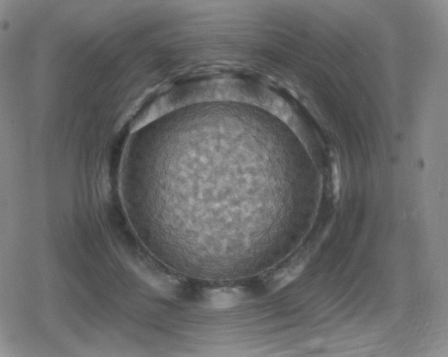 X0000080730508200612151227