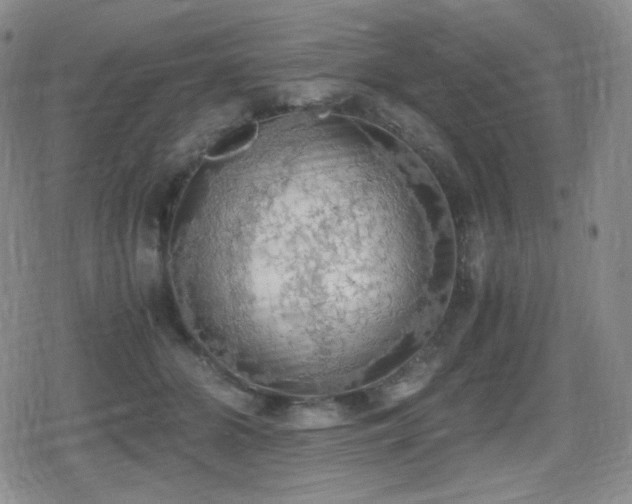 X0000080730510200612151227