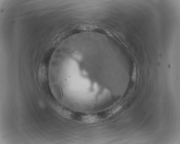 X0000080730511200612151227