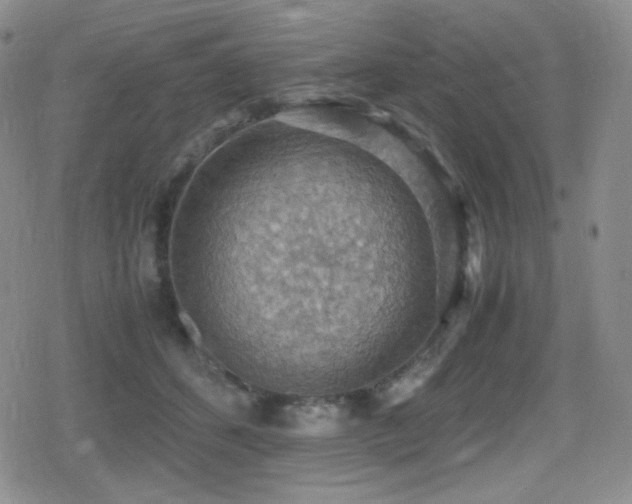 X0000080730512200612151227