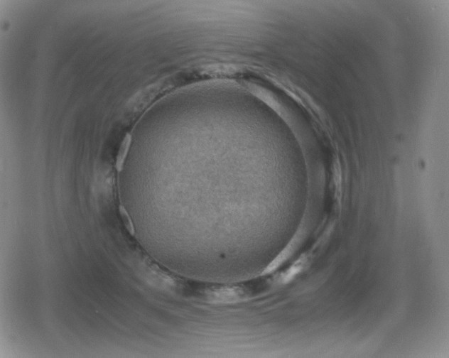 X0000080730513200612151227