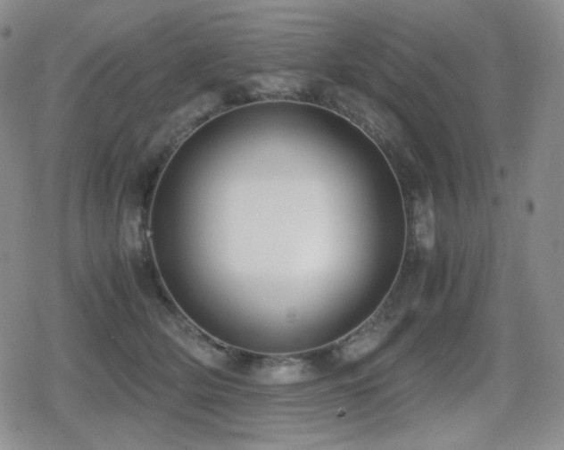 X0000080730514200612151227