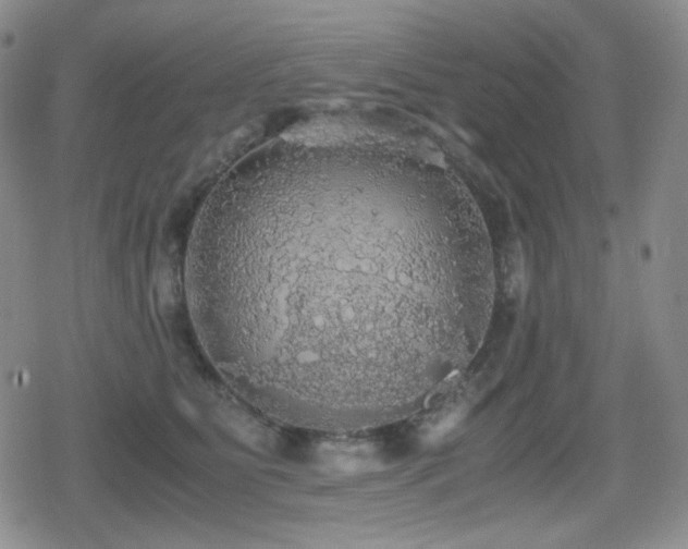 X0000080730515200612151227