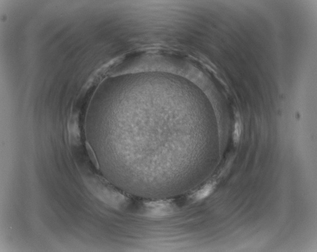 X0000080730516200612151227