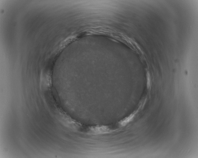 X0000080730517200612151227