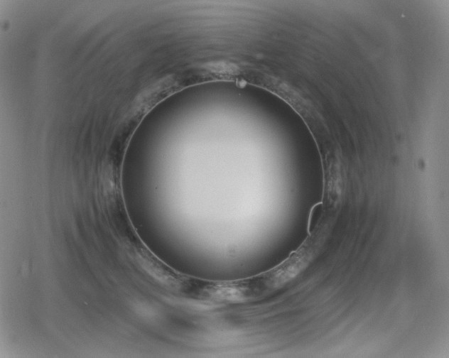 X0000080730518200612151227