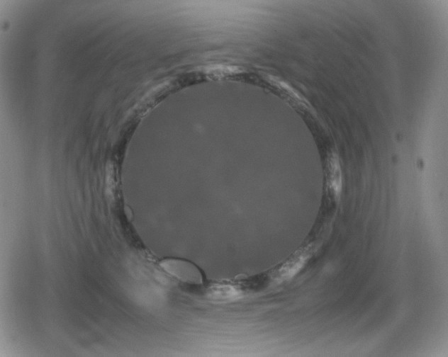 X0000080730519200612151227