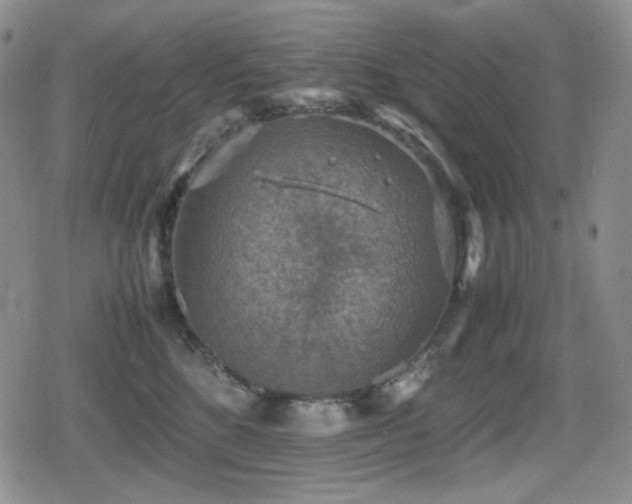 X0000080730520200612151227