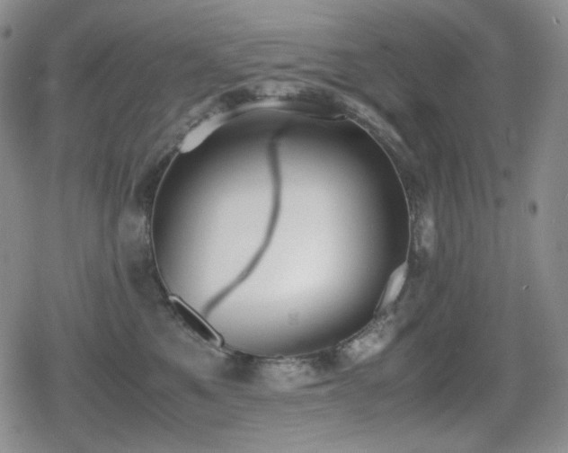 X0000080730521200612151227