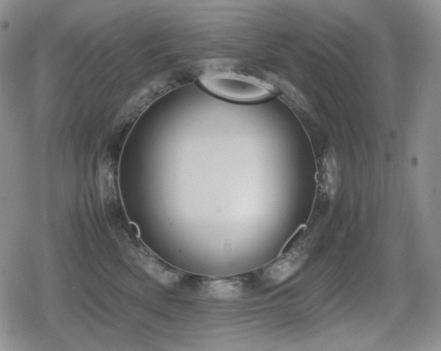 X0000080730522200612151227