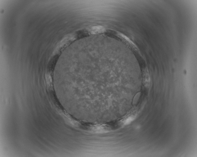 X0000080730523200612151227