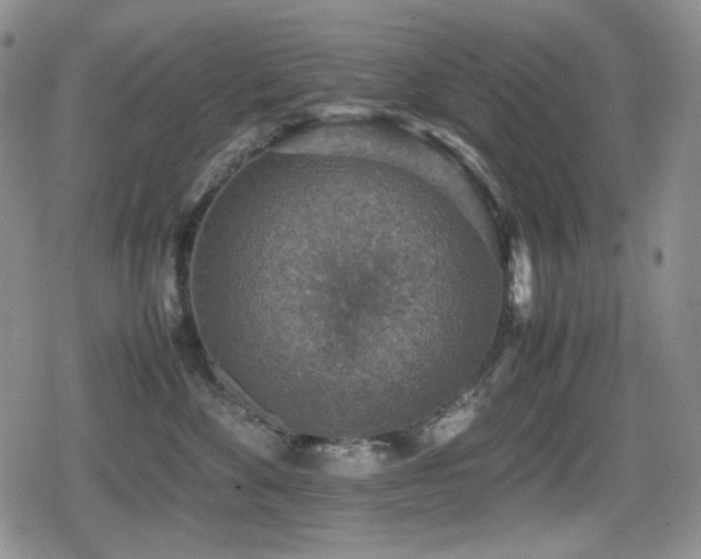 X0000080730524200612151227