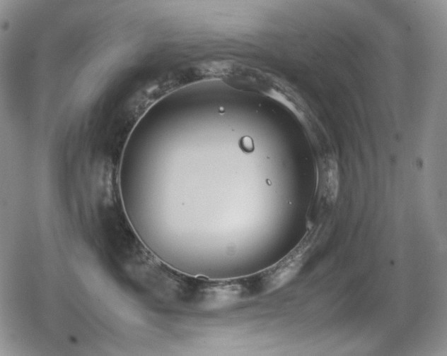 X0000080730525200612151227