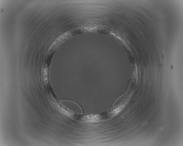 X0000080730526200612151227