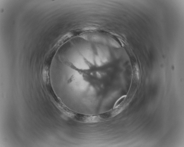 X0000080730527200612151227