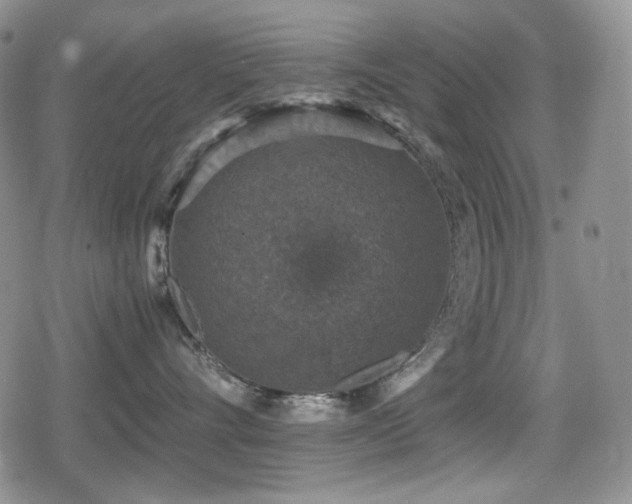 X0000080730528200612151227