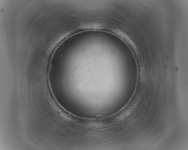 X0000080730529200612151226