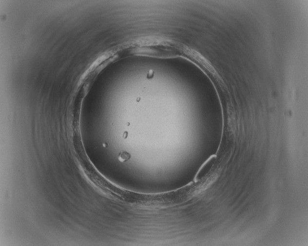 X0000080730530200612151226