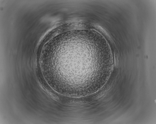 X0000080730531200612151226