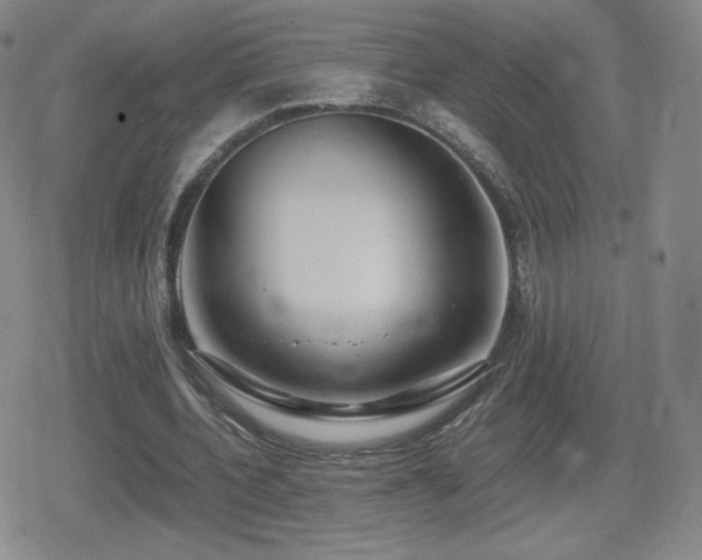 X0000080730532200612151226