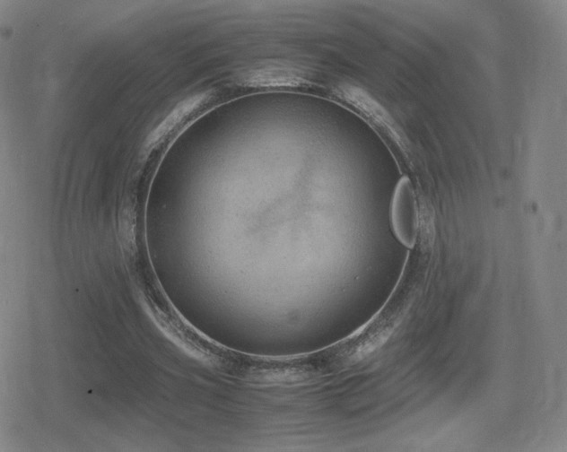 X0000080730533200612151226