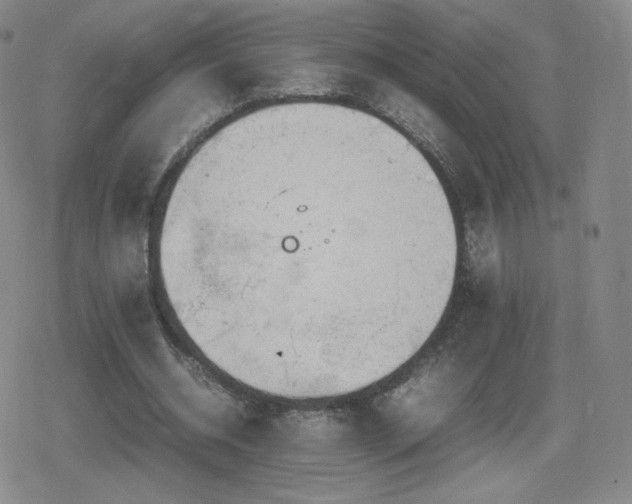 X0000080730534200612151226