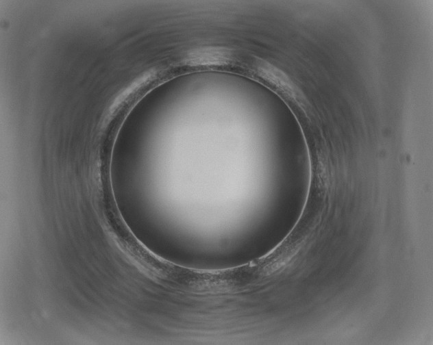 X0000080730535200612151226