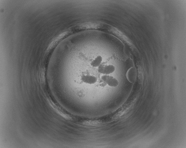 X0000080730537200612151226