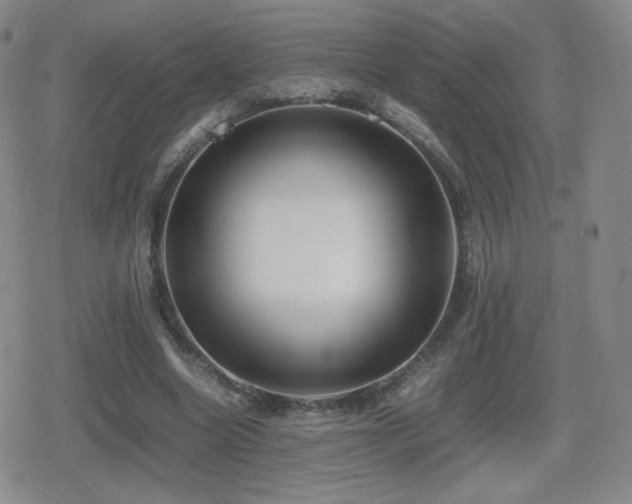 X0000080730538200612151226