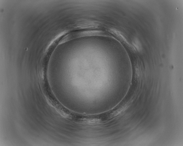 X0000080730539200612151226