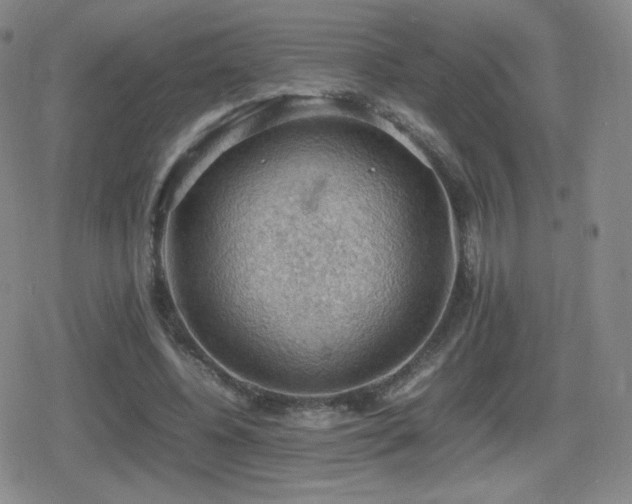 X0000080730540200612151227