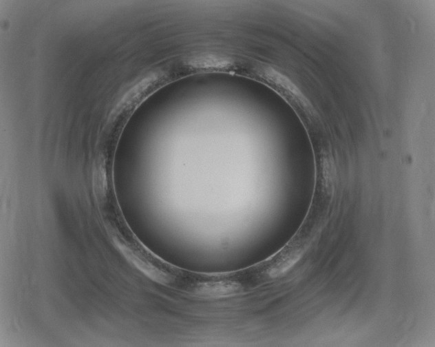 X0000080730541200612151227