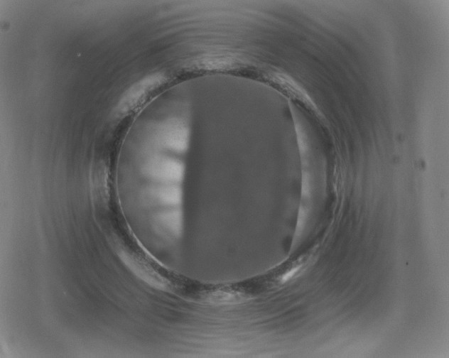 X0000080730542200612151227