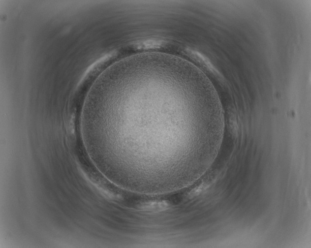 X0000080730543200612151227